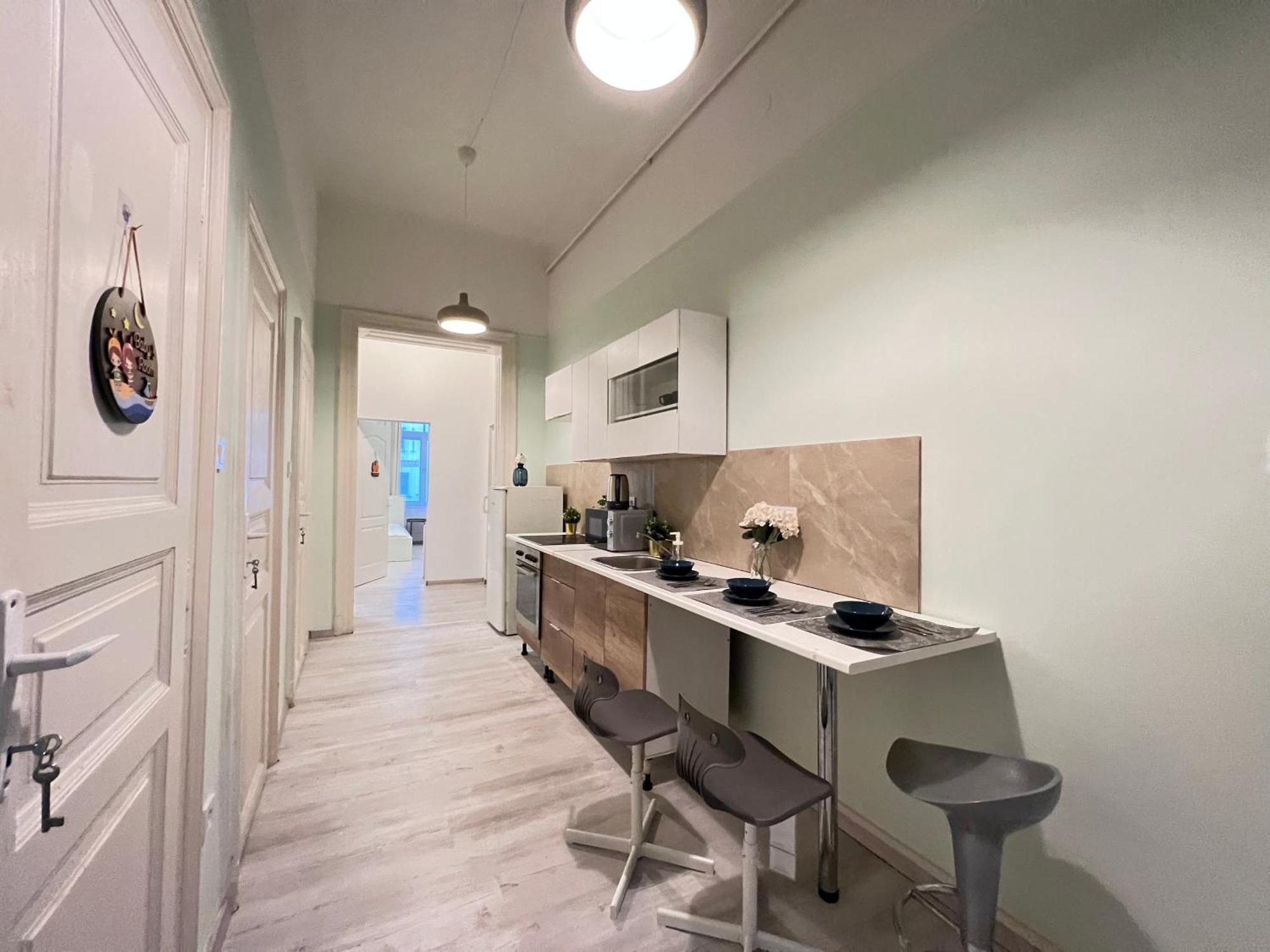 Baross Apartment With Convenience And Style Budapest Ngoại thất bức ảnh